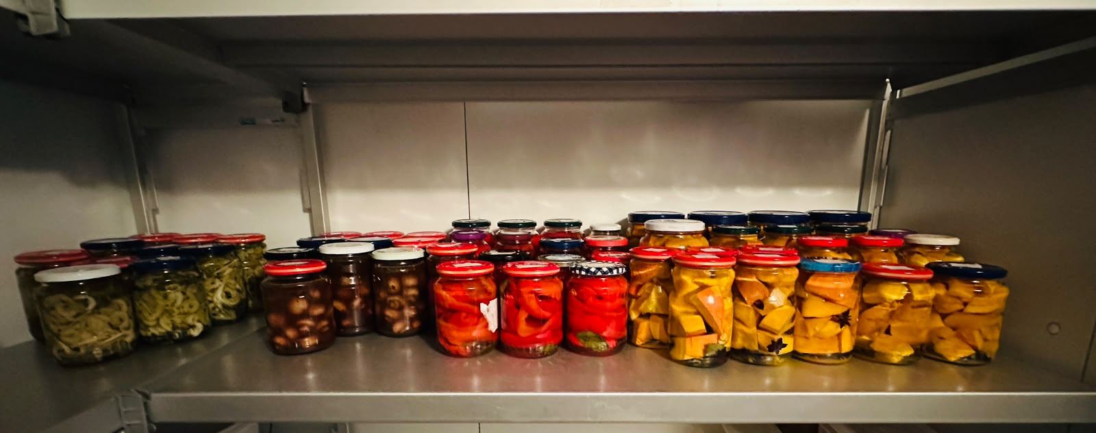 Regal in der Küche mit einer Reihe von Gläsern voller angesetztem Gemüse, darunter Paprika und Kürbis